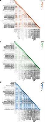 Characterization of Maribacter polysaccharolyticus sp. nov., Maribacter huludaoensis sp. nov., and Maribacter zhoushanensis sp. nov. and illumination of the distinct adaptative strategies of the genus Maribacter